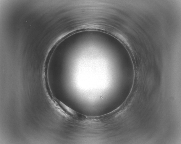 X0000068731133200605051452