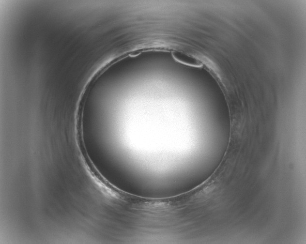 X0000068731135200605051452