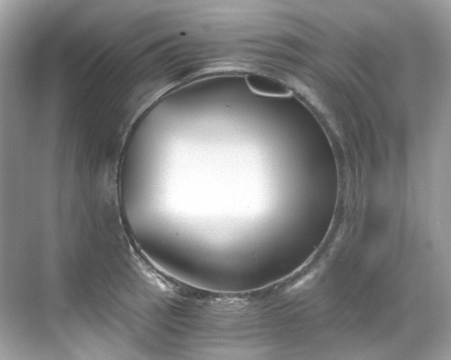 X0000068731137200605051452