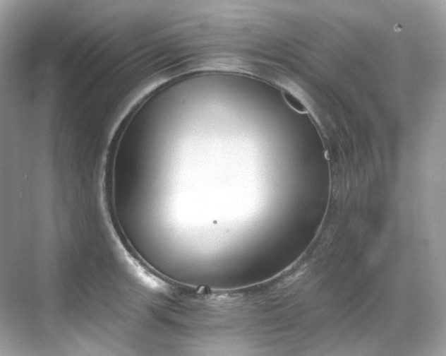 X0000068731139200605051452