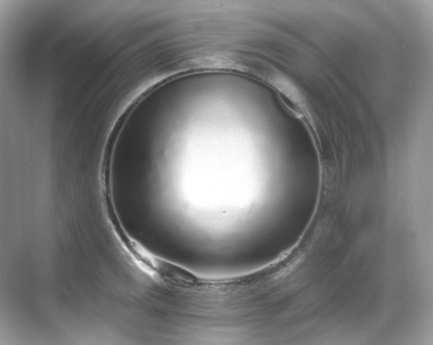 X0000068731141200605051452