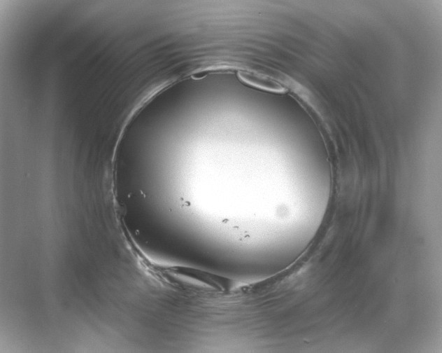 X0000068731145200605051452