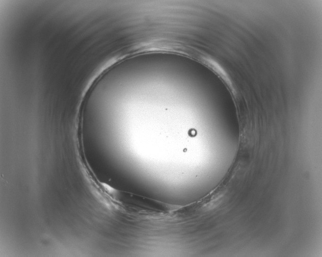 X0000068731146200605051452