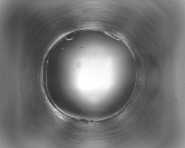 X0000068731147200605051452