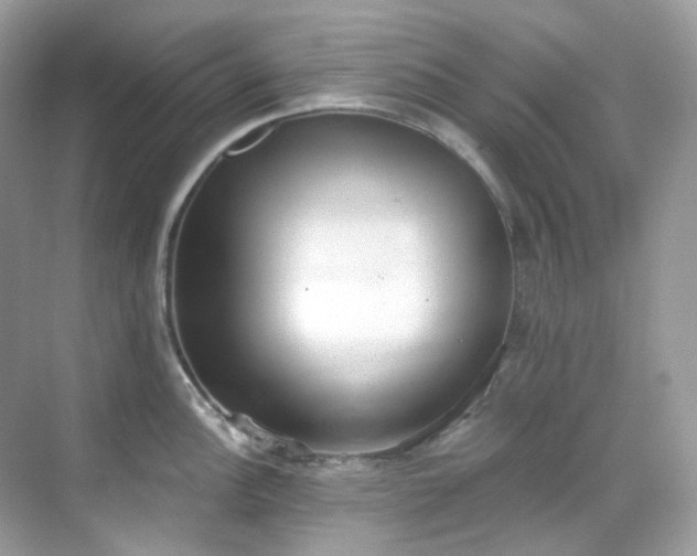 X0000068731148200605051452