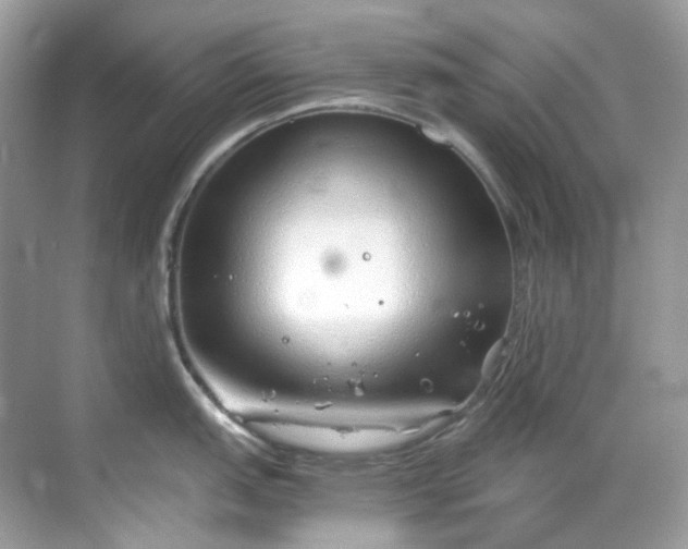 X0000068731151200605051452