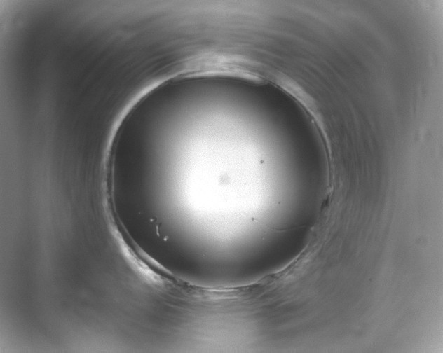 X0000068731152200605051452