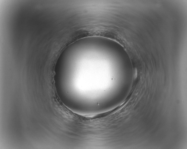 X0000068731153200605051451