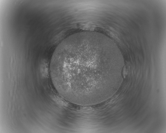 X0000068731154200605051451