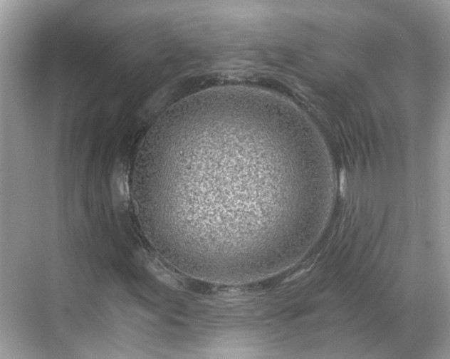 X0000068731155200605051451