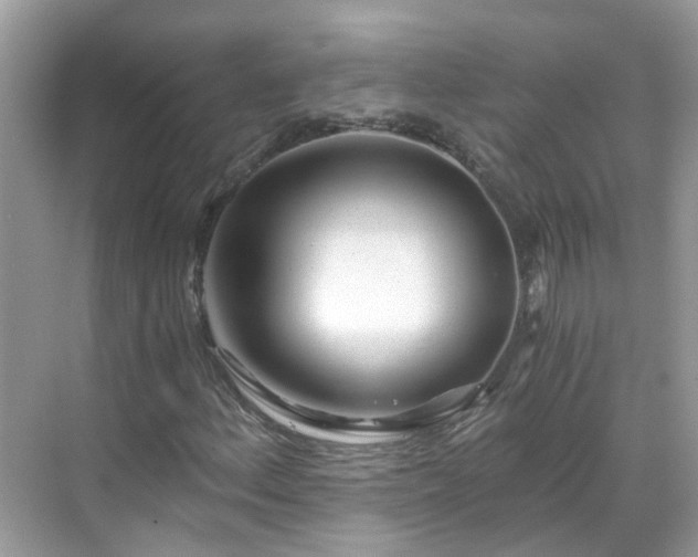 X0000068731156200605051451