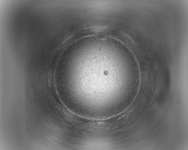 X0000068731158200605051451