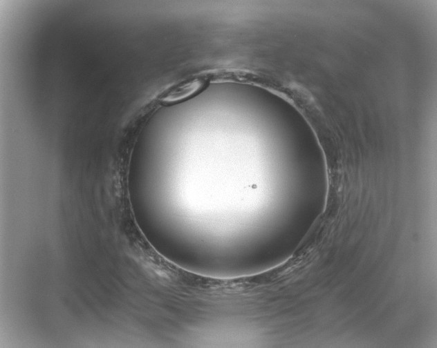 X0000068731159200605051451