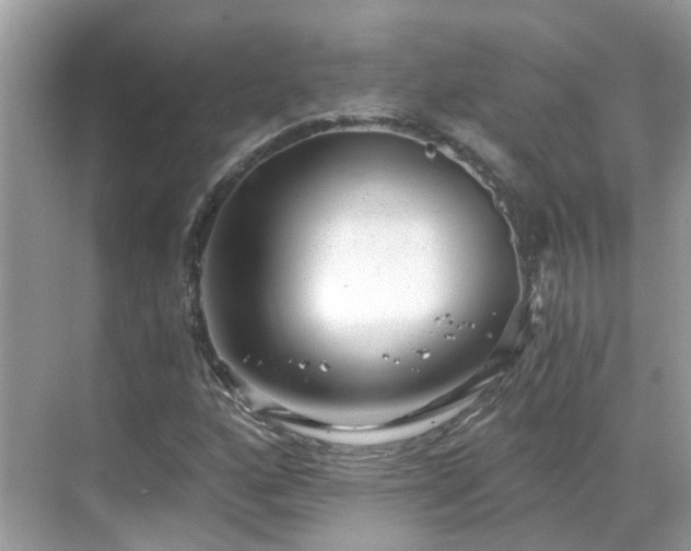 X0000068731160200605051451