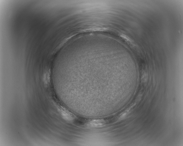 X0000068731161200605051451