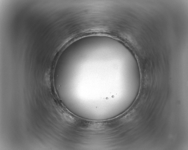 X0000068731162200605051451