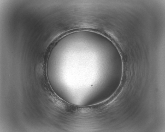 X0000068731163200605051451