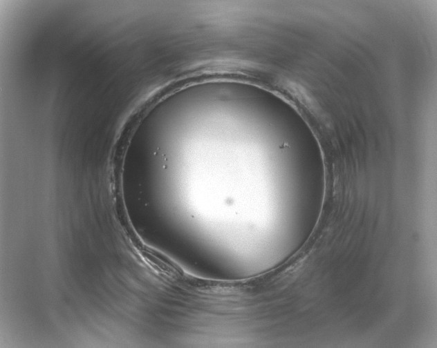 X0000068731164200605051451