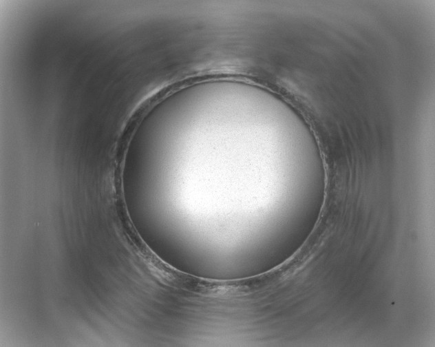 X0000068731166200605051451