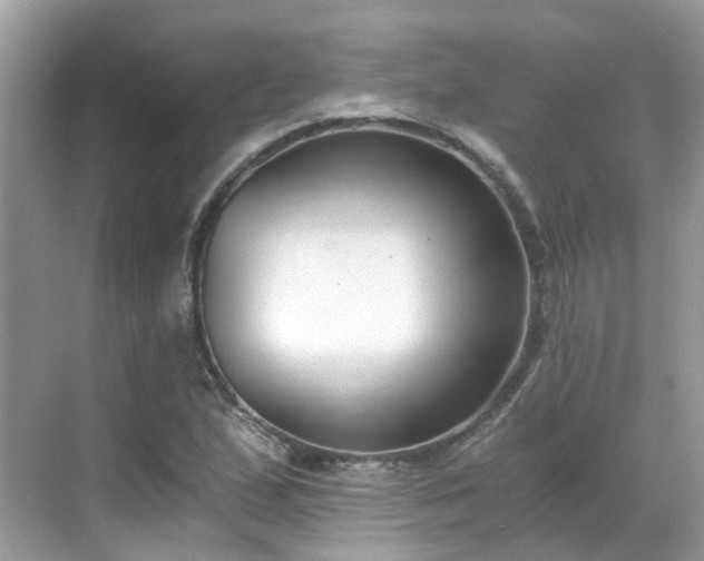 X0000068731167200605051451