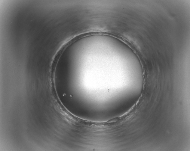 X0000068731168200605051451