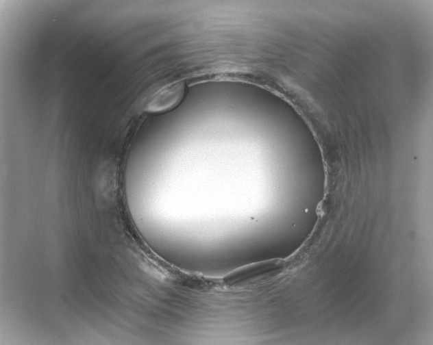 X0000068731169200605051451