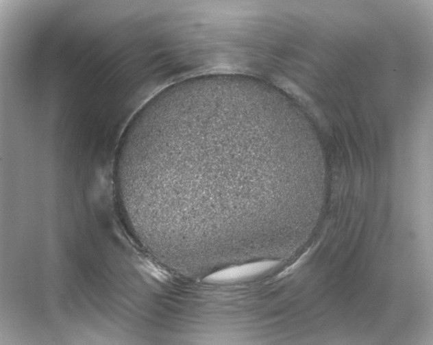 X0000068731170200605051451