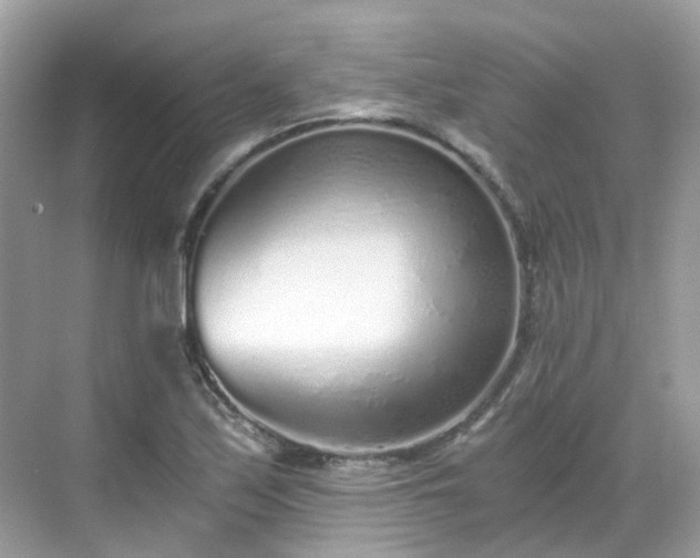 X0000068731171200605051451