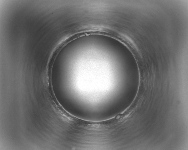 X0000068731172200605051451