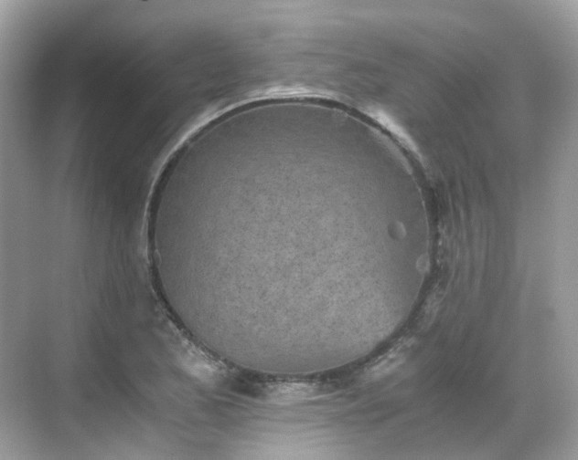 X0000068731173200605051451