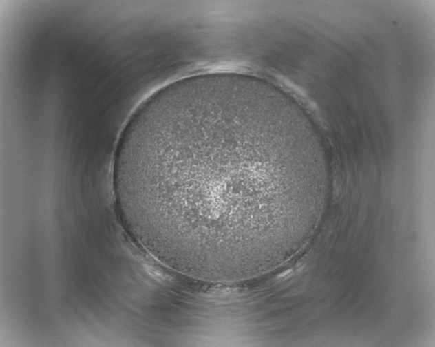 X0000068731174200605051451