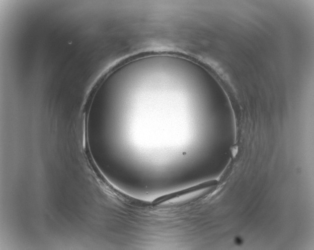 X0000068731175200605051451