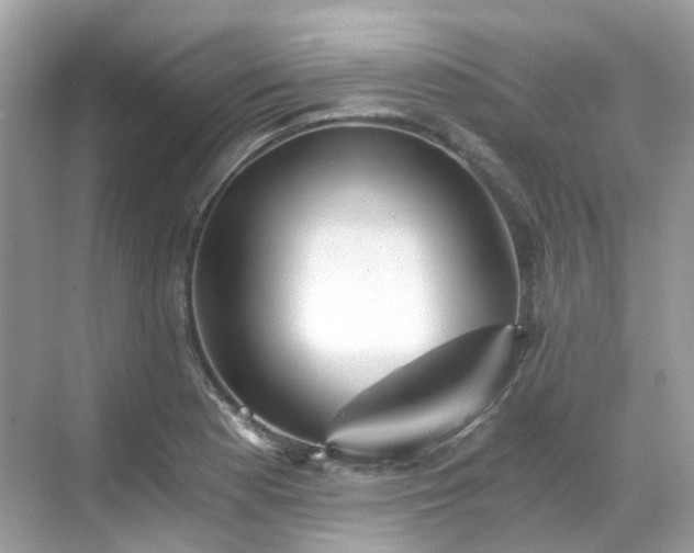 X0000068731177200605051451