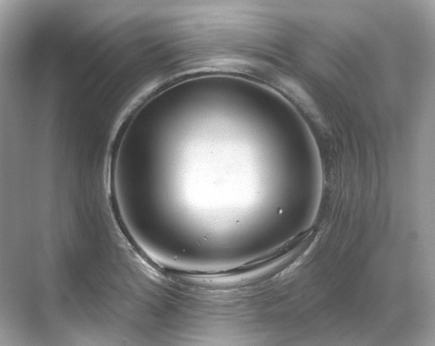 X0000068731180200605051451