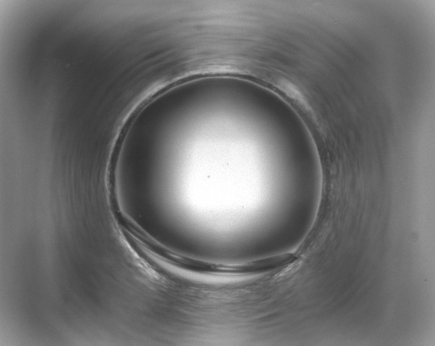 X0000068731181200605051451