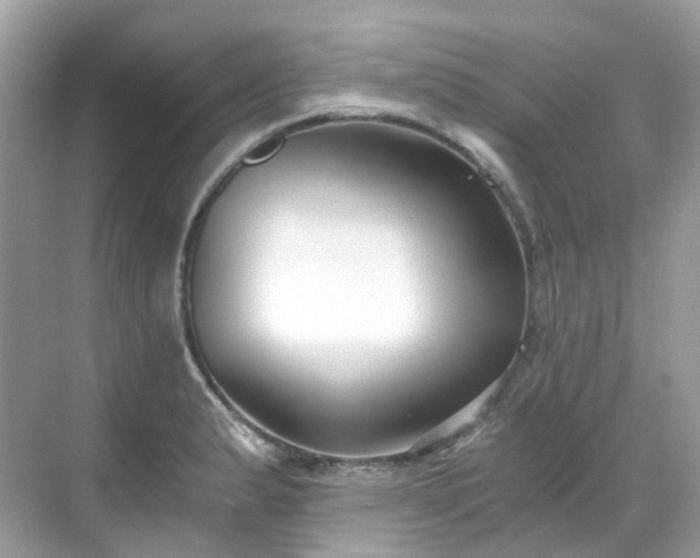 X0000068731183200605051451