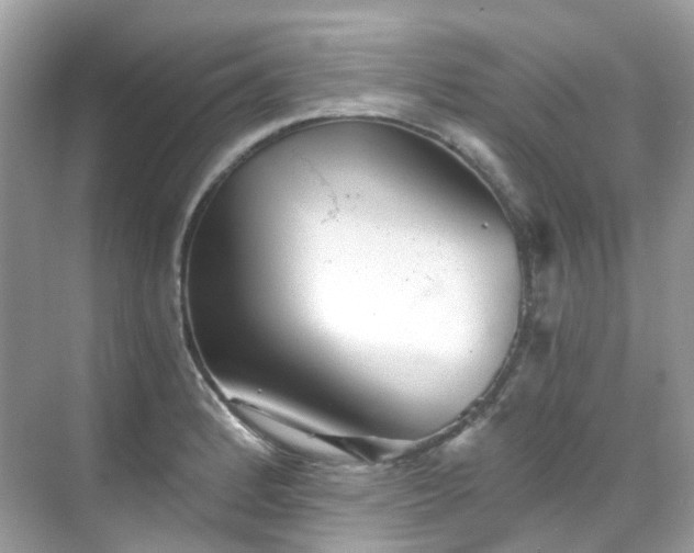 X0000068731184200605051451