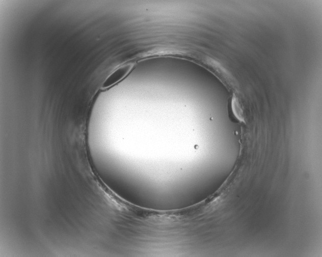 X0000068731185200605051451