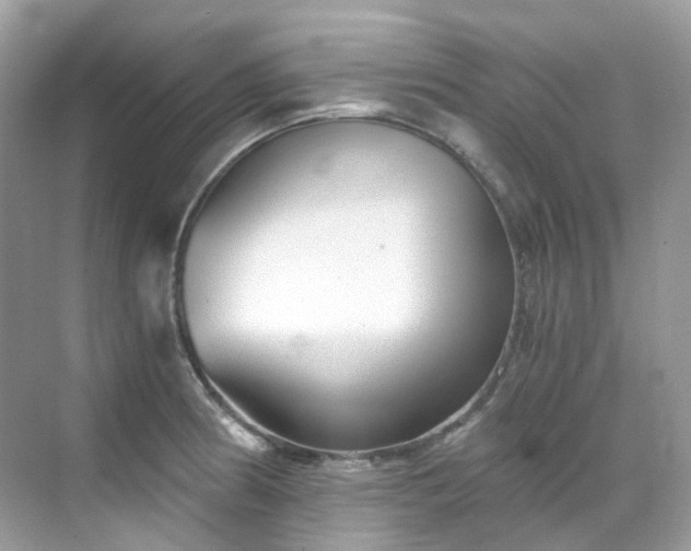 X0000068731186200605051451