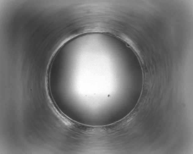 X0000068731187200605051451