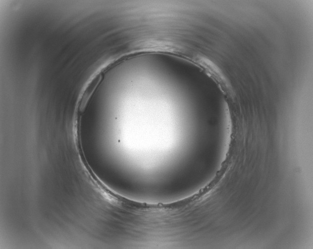 X0000068731188200605051451