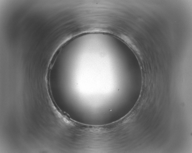 X0000068731189200605051451