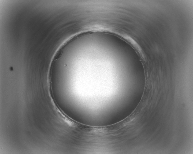 X0000068731191200605051451