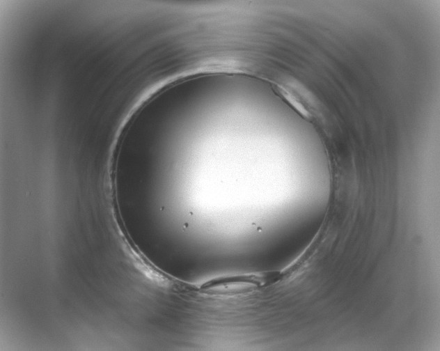 X0000068731192200605051451