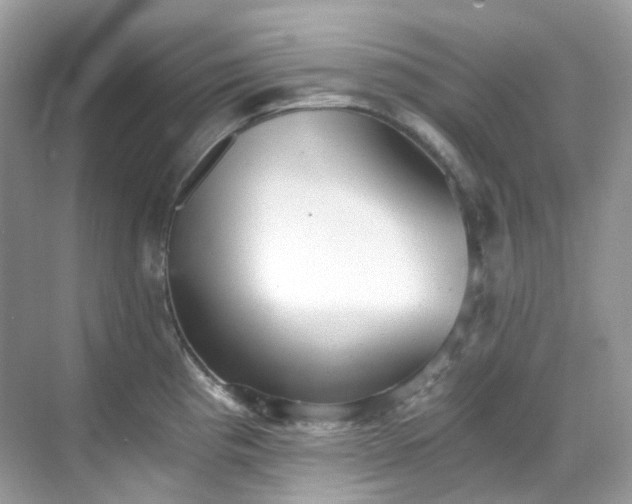 X0000068731193200605051451