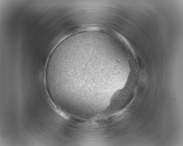 X0000068731194200605051451