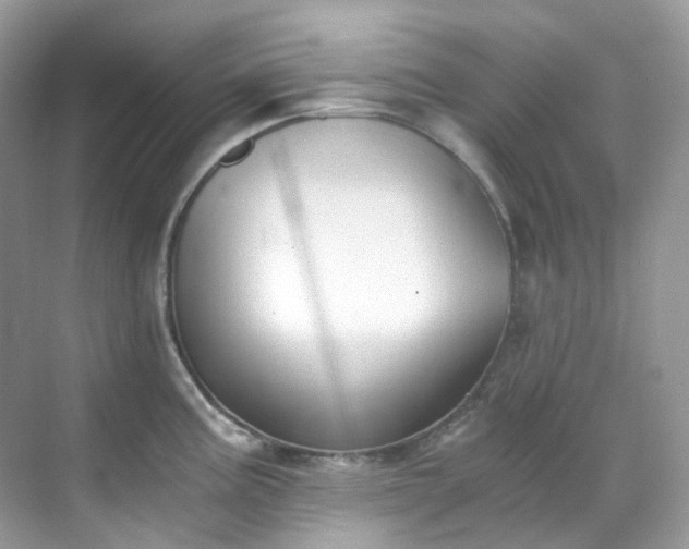 X0000068731195200605051451