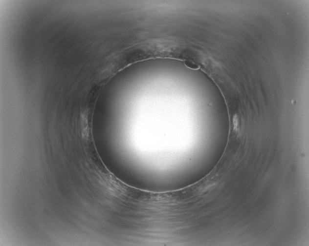 X0000068731203200605051450