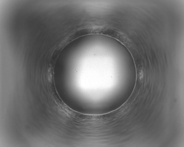 X0000068731204200605051450