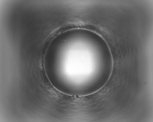 X0000068731205200605051450